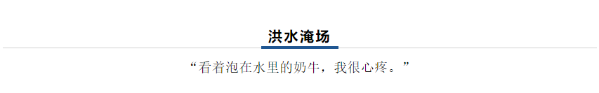 【乳报·聚焦】“豫”难而上的中原牛人“太中了”！